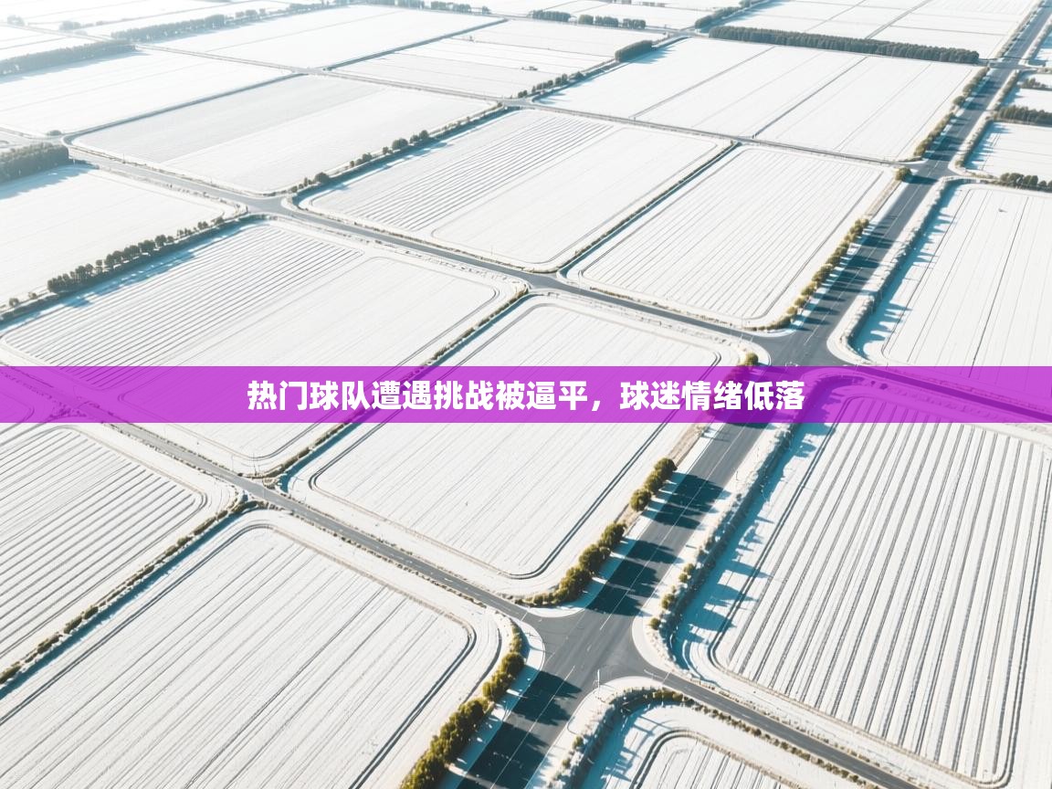 热门球队遭遇挑战被逼平，球迷情绪低落  第2张