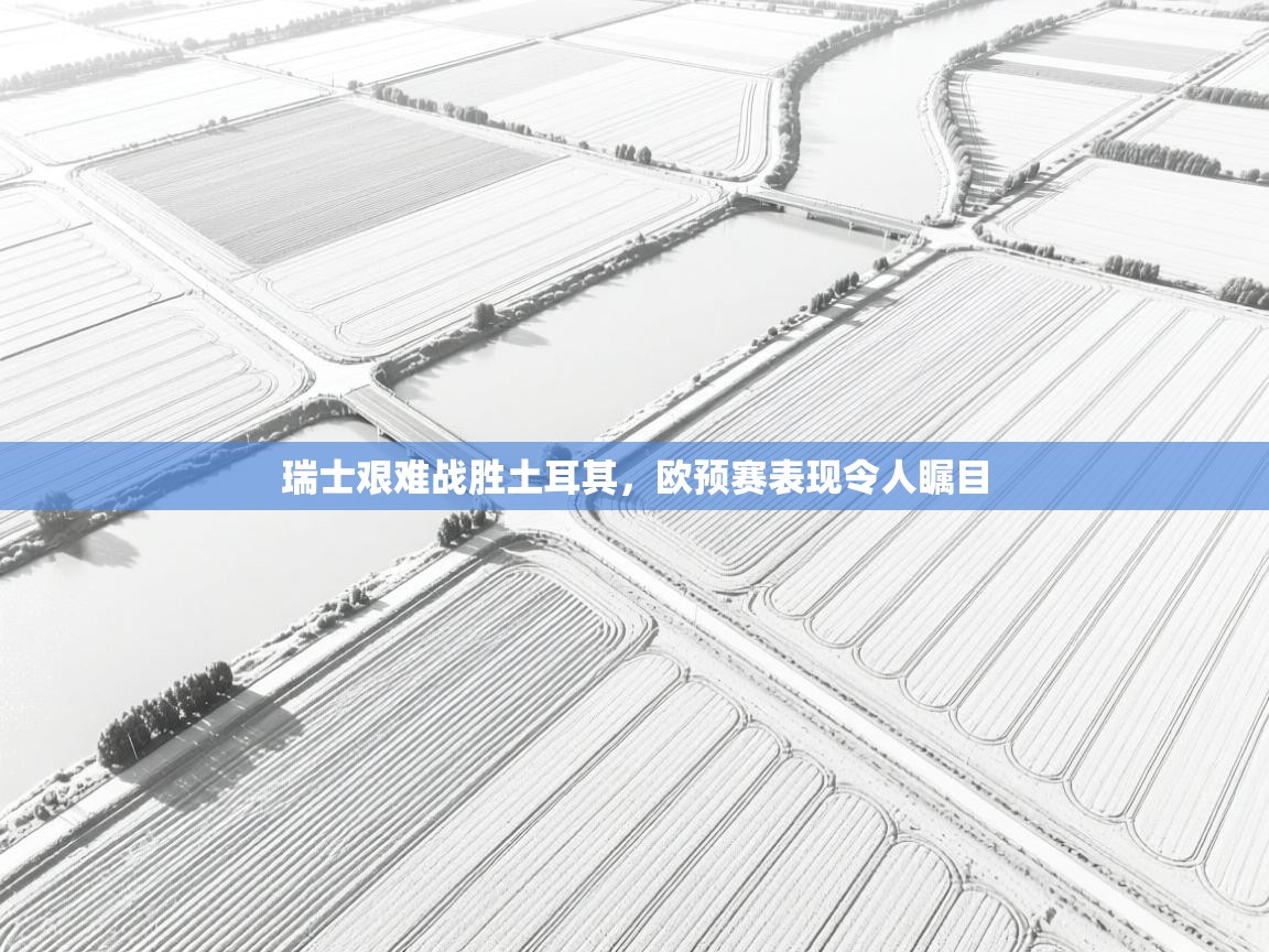 瑞士艰难战胜土耳其,欧预赛表现令人瞩目 第1张