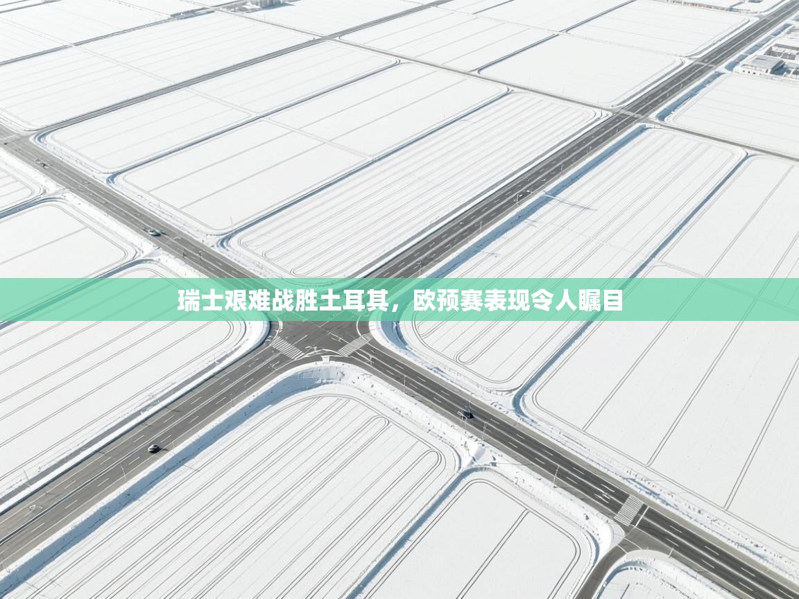 瑞士艰难战胜土耳其,欧预赛表现令人瞩目 第2张