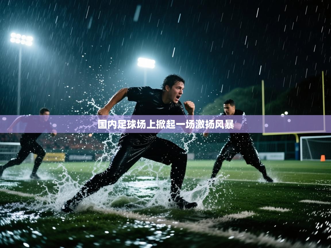 国内足球场上掀起一场激扬风暴  第1张