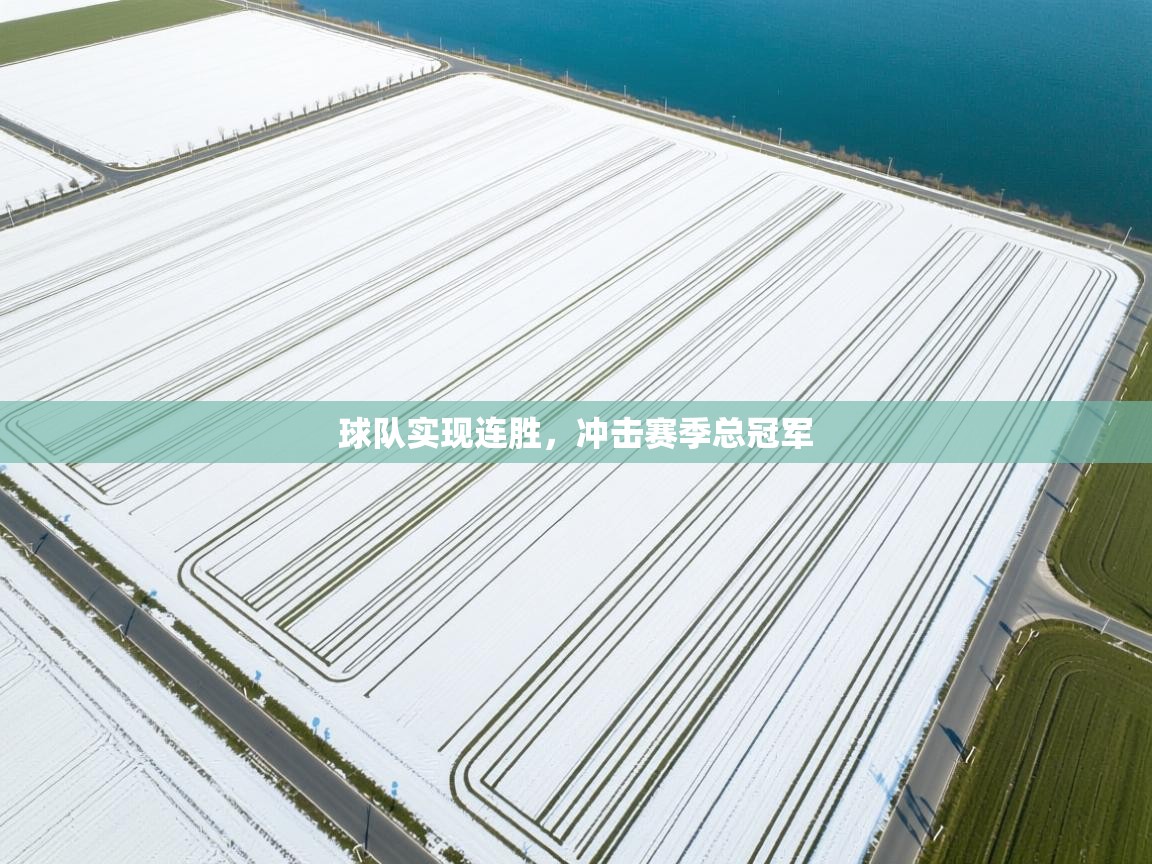 球队实现连胜，冲击赛季总冠军