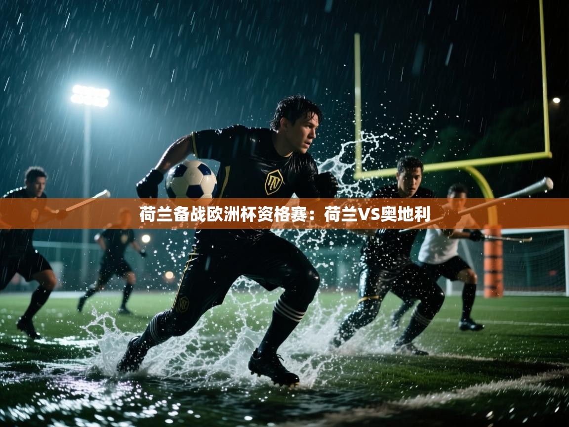 荷兰备战欧洲杯资格赛:荷兰VS奥地利 第2张