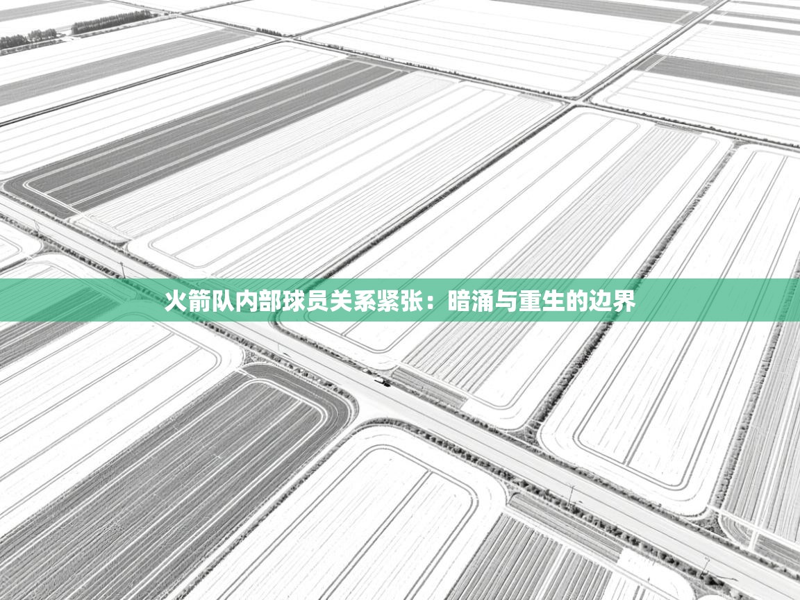 火箭队内部球员关系紧张：暗涌与重生的边界  第2张