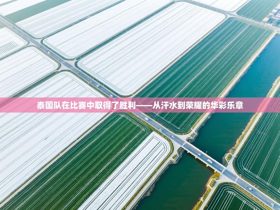 泰国队在比赛中取得了胜利——从汗水到荣耀的华彩乐章 第1张