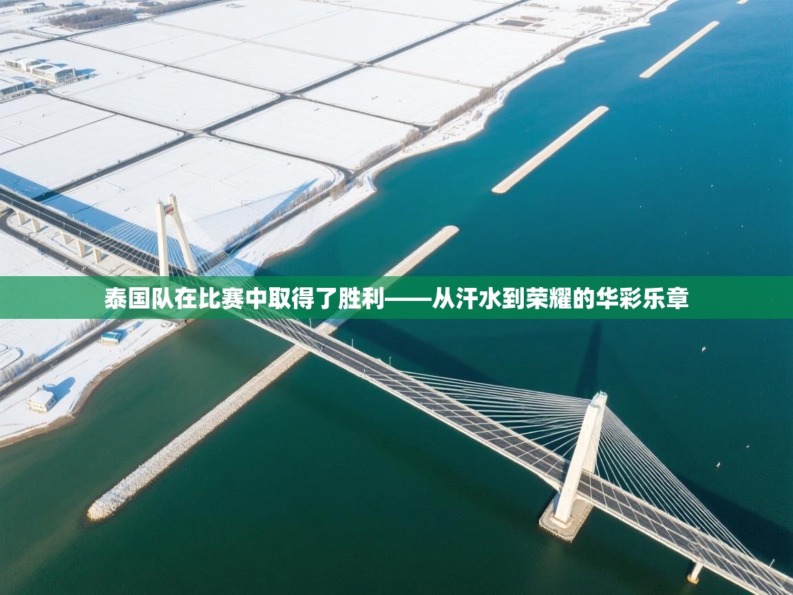 泰国队在比赛中取得了胜利——从汗水到荣耀的华彩乐章 第2张