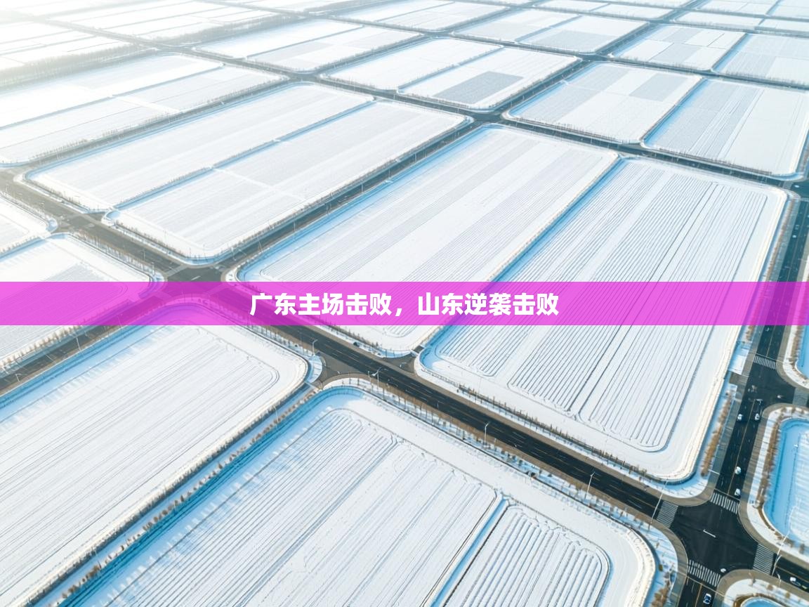 广东主场击败，山东逆袭击败  第1张