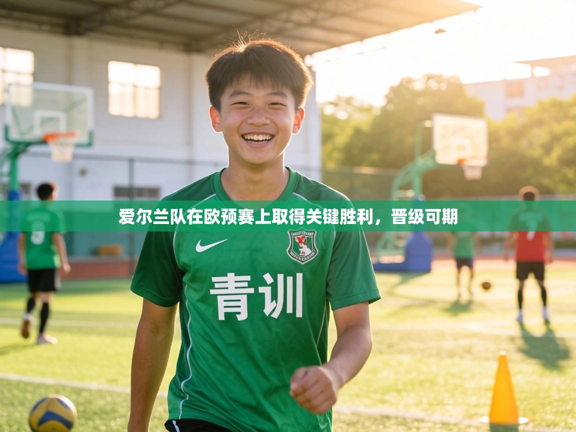 爱尔兰队在欧预赛上取得关键胜利，晋级可期  第1张